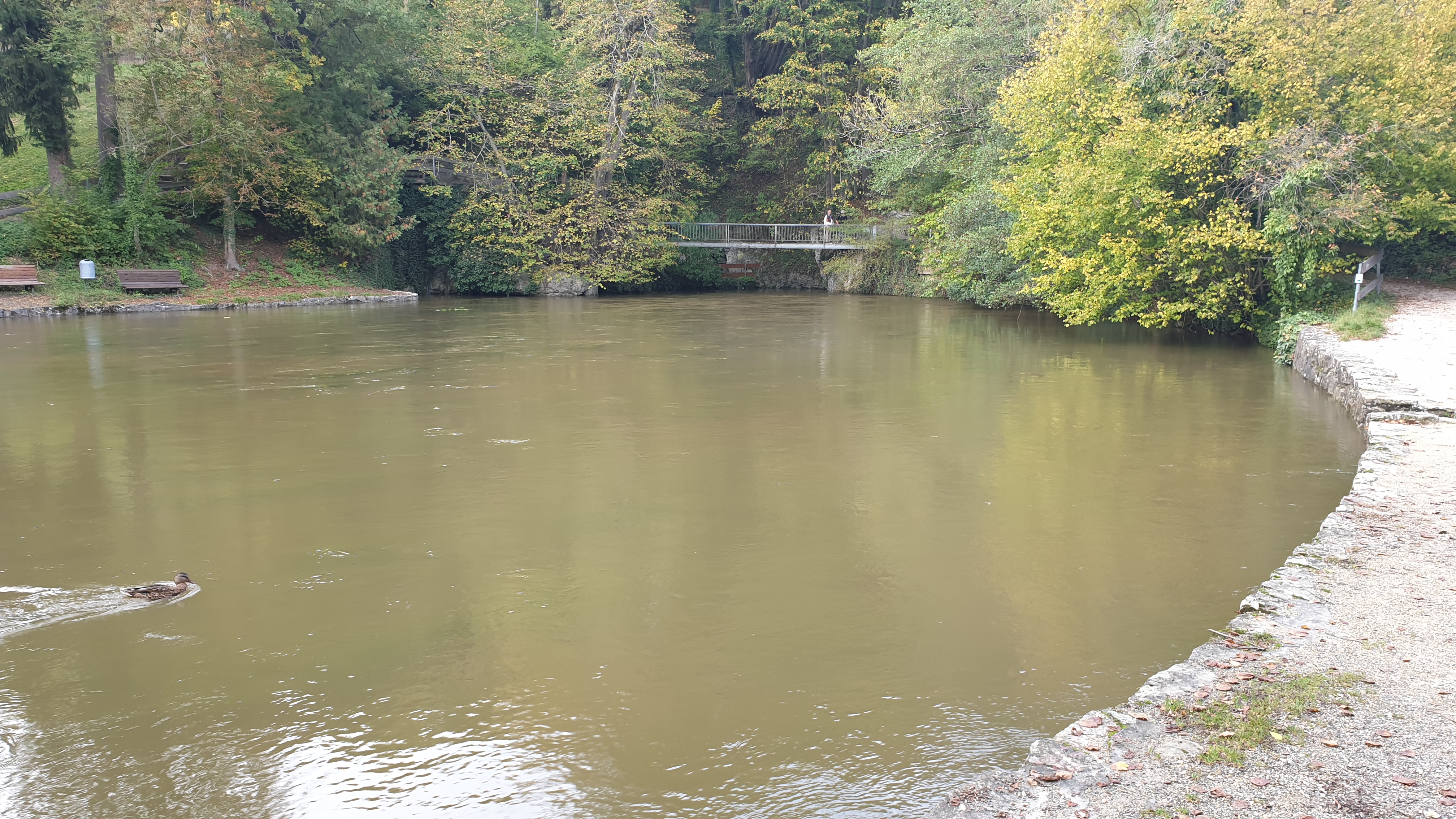 20191012_163245.jpg