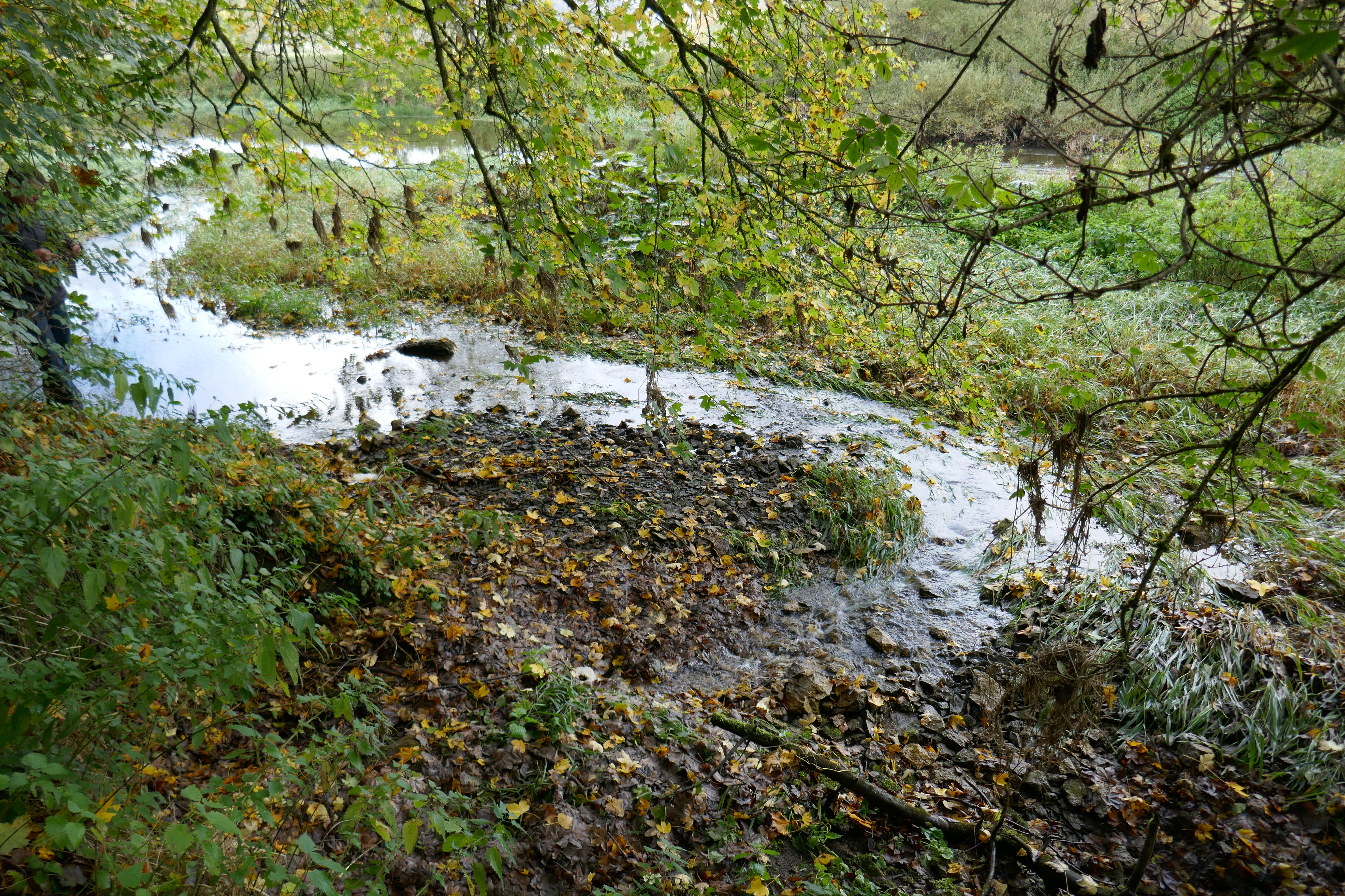 P1000725.jpg