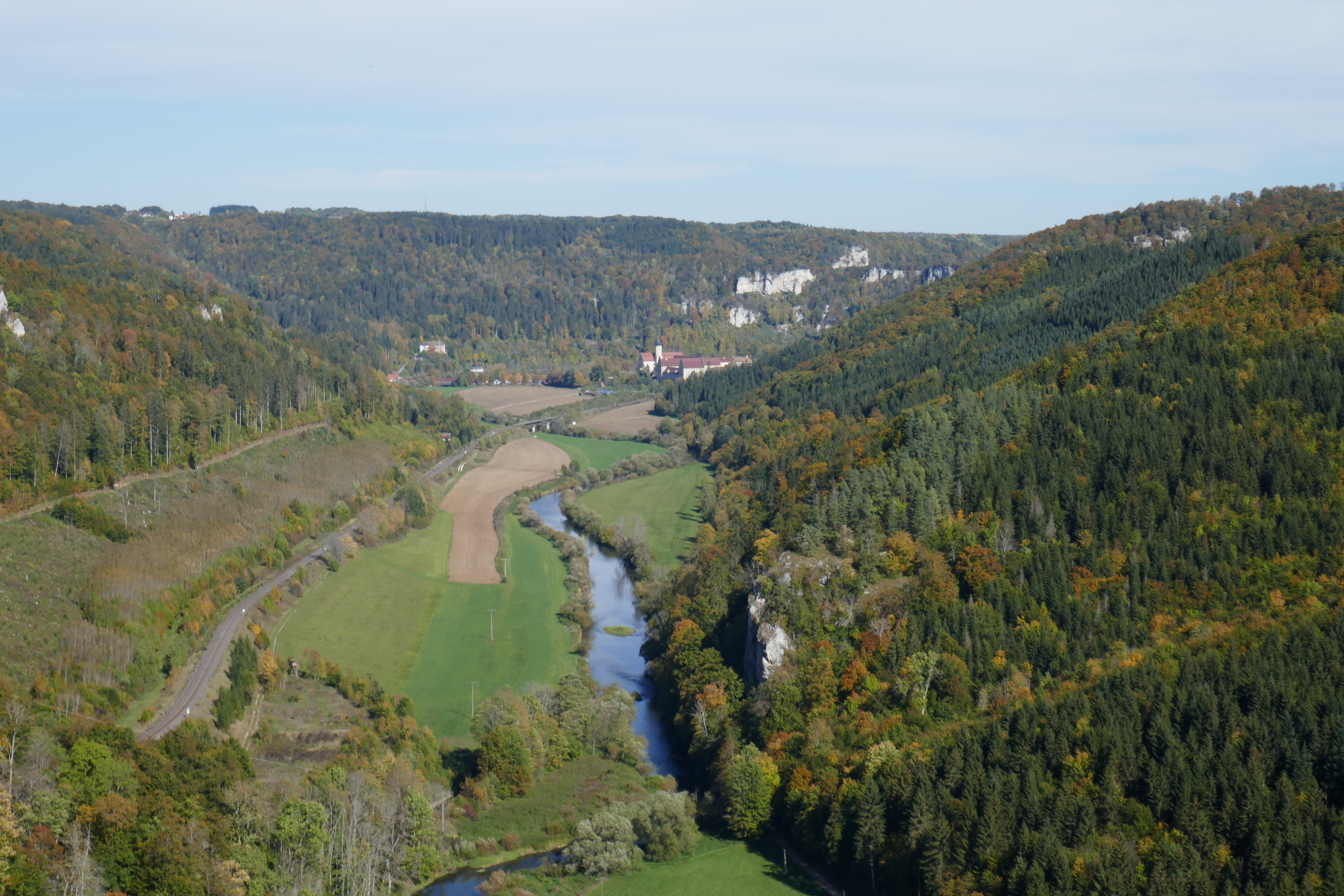 P1000729.jpg
